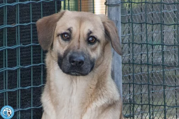 Pam cerca chi sappia vederla davvero