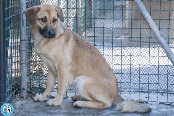 Pam cerca chi sappia vederla davvero | Foto 2