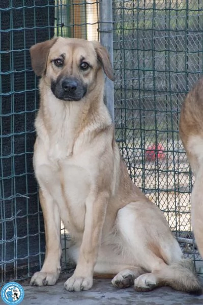 Pam cerca chi sappia vederla davvero | Foto 1