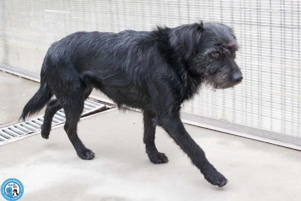 Greta lamore vero arriva piano | Foto 3