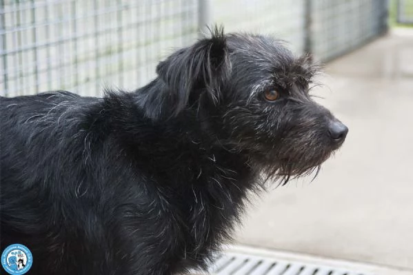 Greta lamore vero arriva piano | Foto 2