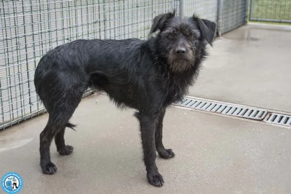 Greta lamore vero arriva piano | Foto 1