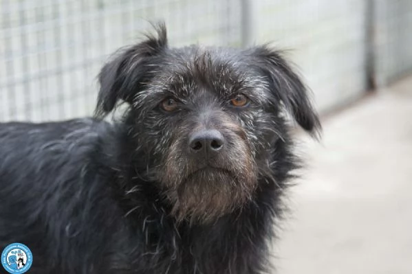 Greta lamore vero arriva piano