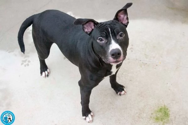 Ade un nome come tanti Una storia che merita un finale diverso | Foto 3