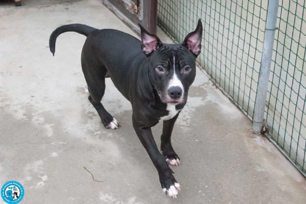 Ade un nome come tanti Una storia che merita un finale diverso | Foto 2