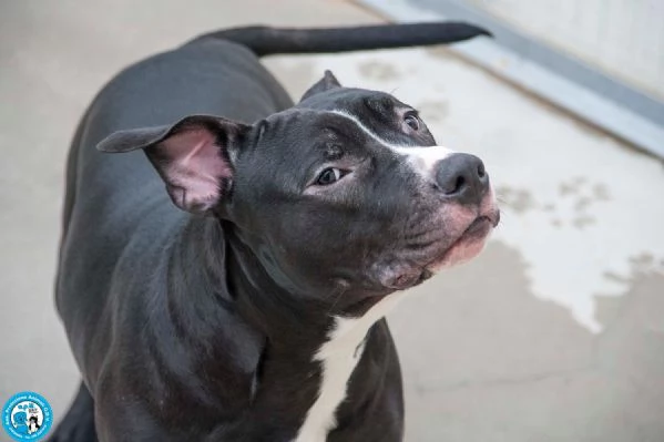 Ade un nome come tanti Una storia che merita un finale diverso | Foto 1