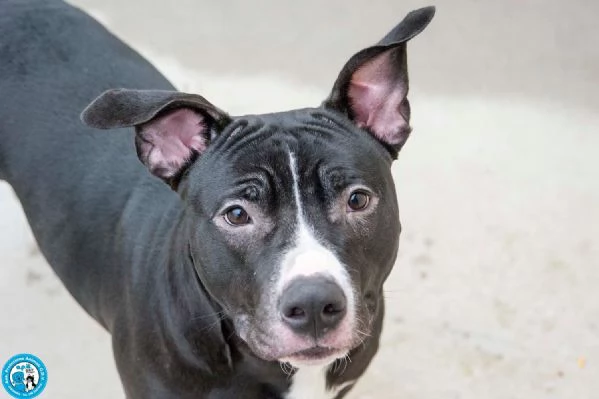 Ade un nome come tanti Una storia che merita un finale diverso