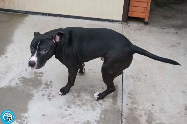 Ade un nome come tanti Una storia che merita un finale diverso | Foto 0