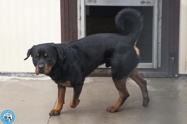 Ares forza e fedeltagrave in cerca di una guida vera | Foto 1