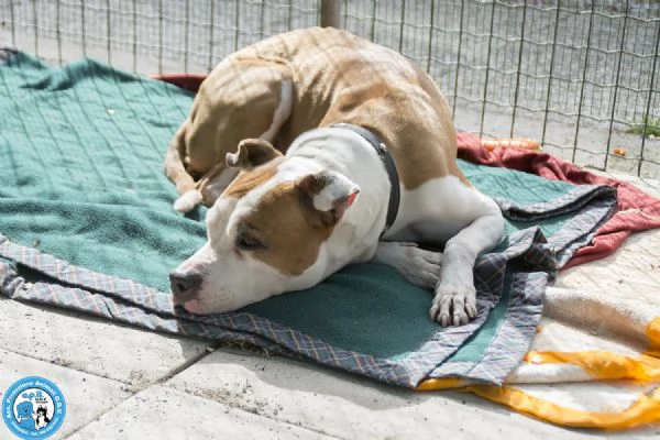 Molly una casa per gli anni piugrave preziosi | Foto 5