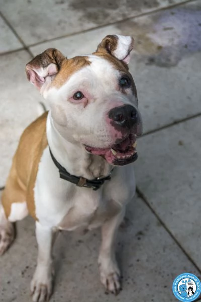 Molly una casa per gli anni piugrave preziosi | Foto 4