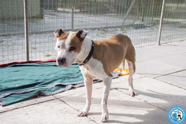 Molly una casa per gli anni piugrave preziosi | Foto 3