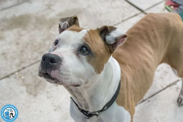 Molly una casa per gli anni piugrave preziosi | Foto 1