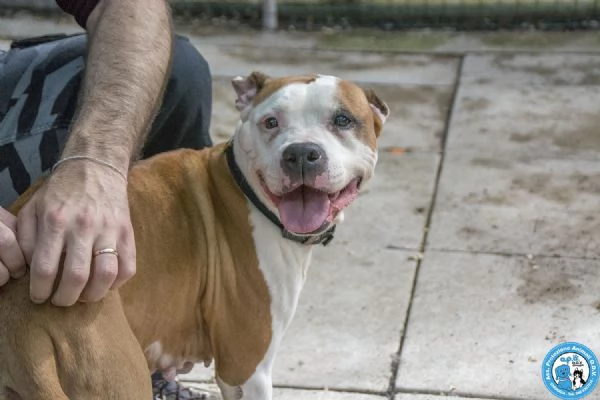 Molly una casa per gli anni piugrave preziosi | Foto 0