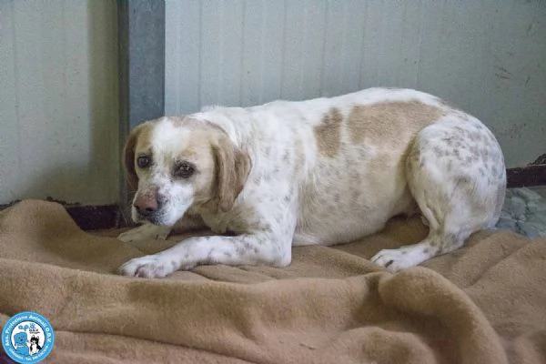 Emily la delicatezza che chiede solo pace | Foto 3