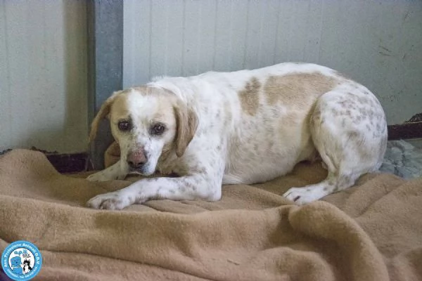 Emily la delicatezza che chiede solo pace | Foto 1