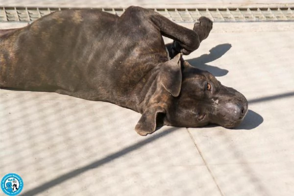 Chanel non egrave un accessorio egrave una scelta per sempre | Foto 5