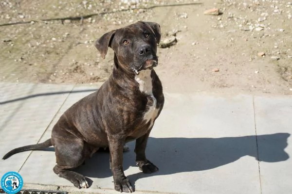 Chanel non egrave un accessorio egrave una scelta per sempre | Foto 1