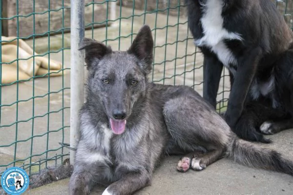 Nina Nana e Noah il club degli invisibili | Foto 4