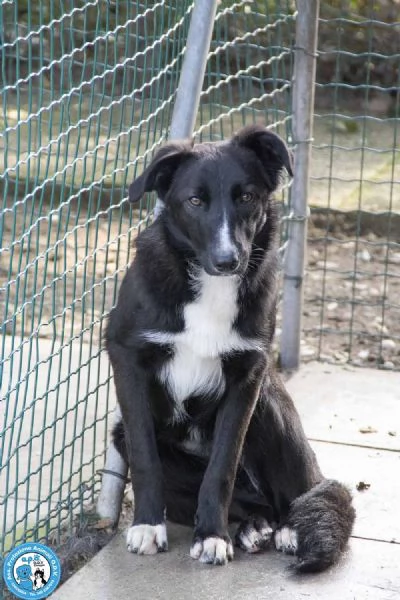 Nina Nana e Noah il club degli invisibili | Foto 3