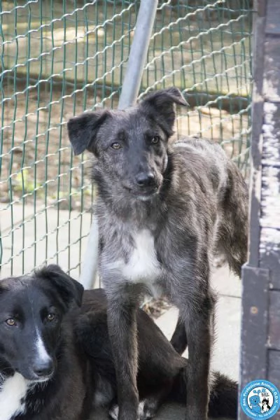 Nina Nana e Noah il club degli invisibili | Foto 2