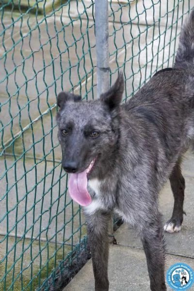 Nina Nana e Noah il club degli invisibili | Foto 1