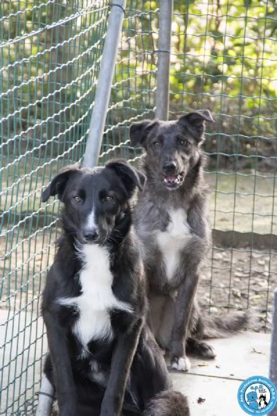 Nina Nana e Noah il club degli invisibili | Foto 0