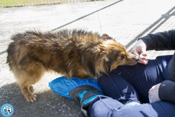 Bush un simpatico orsetto di 10 kg | Foto 1