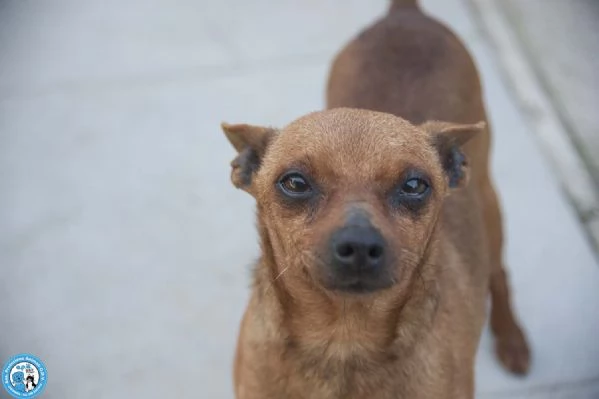 Tuono 5 chili di personalitagrave e un cuore da riparare | Foto 2