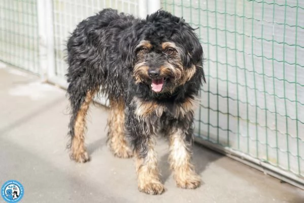 Teo il riscatto di un piccolo guerriero | Foto 3