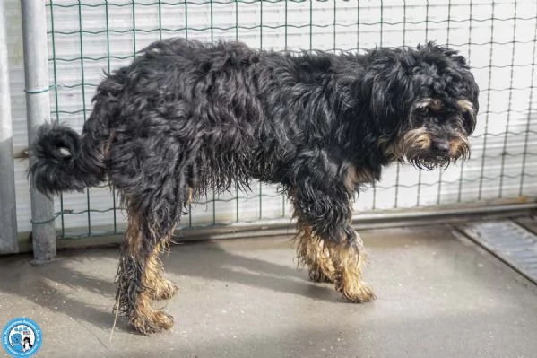 Teo il riscatto di un piccolo guerriero | Foto 2