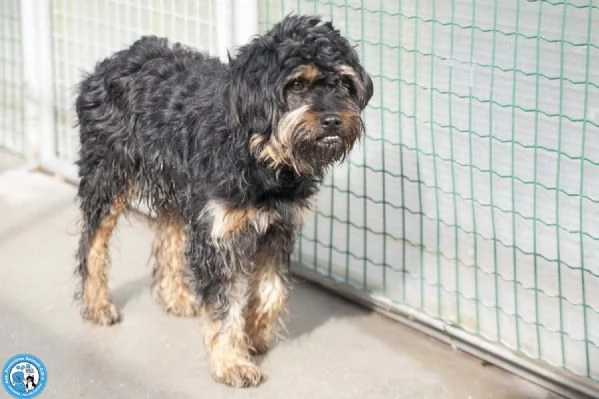 Teo il riscatto di un piccolo guerriero | Foto 0