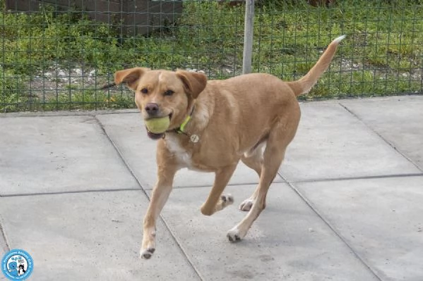 Washy cercasi umano disposto a farsi rubare il cuore | Foto 4