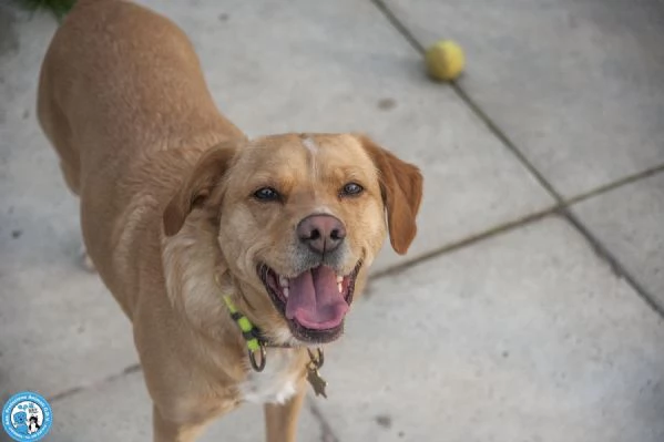 Washy cercasi umano disposto a farsi rubare il cuore | Foto 3