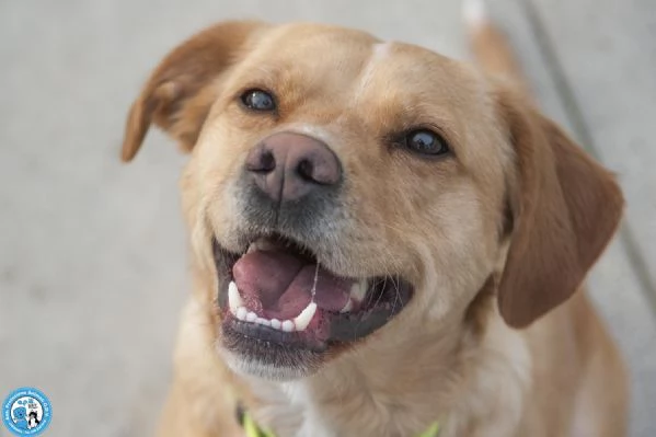 Washy cercasi umano disposto a farsi rubare il cuore | Foto 2