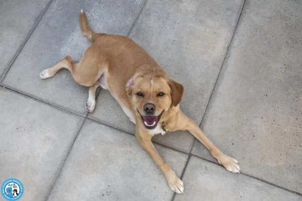 Washy cercasi umano disposto a farsi rubare il cuore | Foto 1