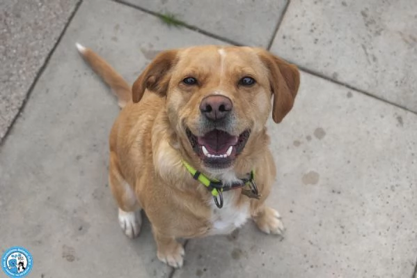 Washy cercasi umano disposto a farsi rubare il cuore