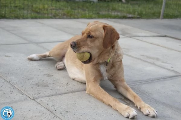 Washy cercasi umano disposto a farsi rubare il cuore | Foto 0