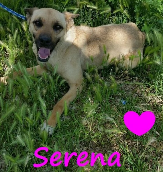 serena: giovane taglia contenuta a milano!