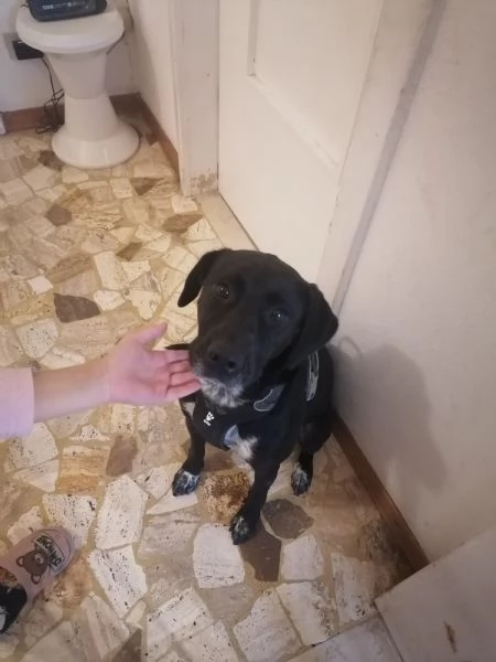 Zara meticcia | Foto 1