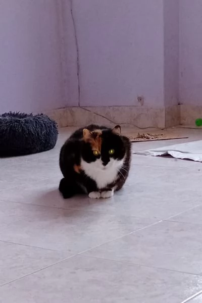 Petra e Teodora 11 anni insieme