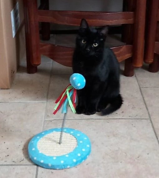 Cloe e Black fratellini indivisibili | Foto 3