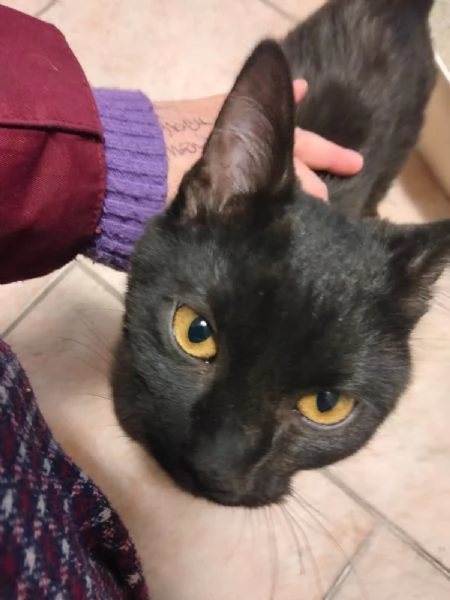 Cloe e Black fratellini indivisibili | Foto 2