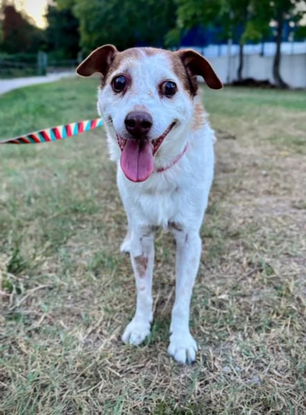 Pupo 12 anni Taglia piccola  | Foto 3