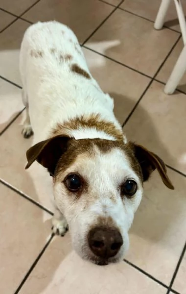 Pupo 12 anni Taglia piccola  | Foto 1
