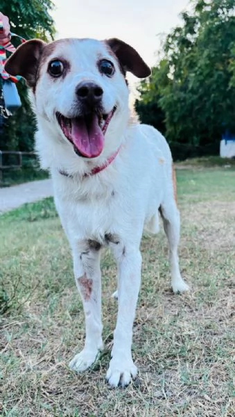 Pupo 12 anni Taglia piccola  | Foto 0