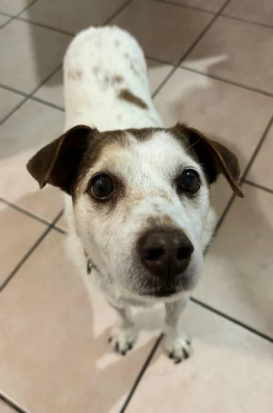 Pupo 12 anni Taglia piccola 