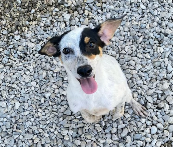Abu 5 mesi taglia piccola  | Foto 1