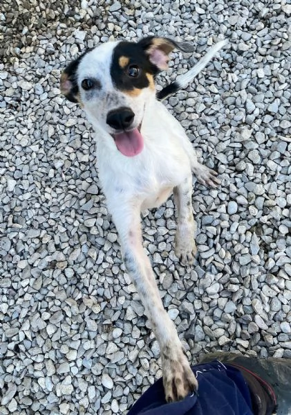 Abu 5 mesi taglia piccola  | Foto 0