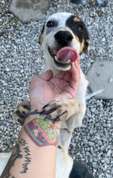 Abu 5 mesi taglia piccola 